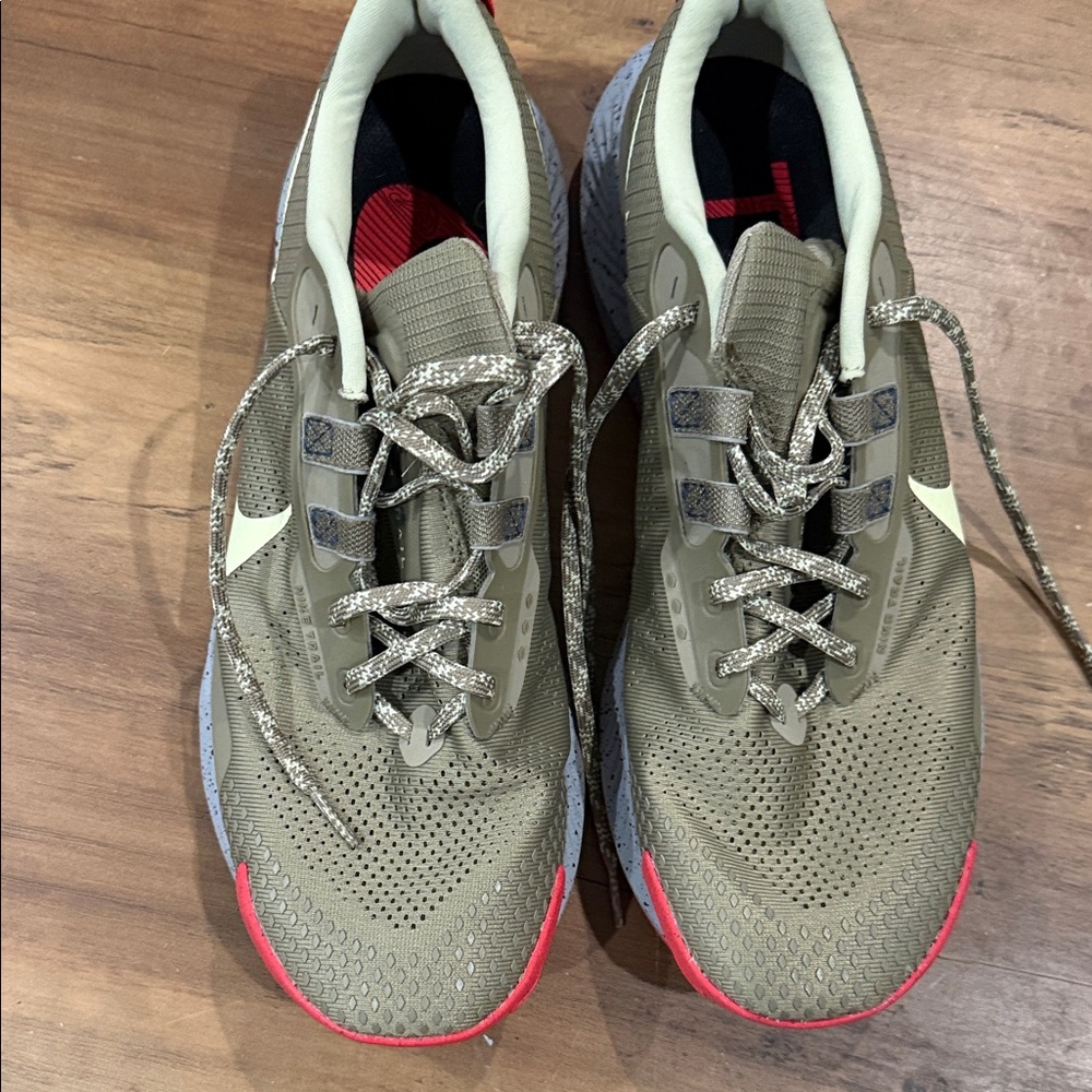 Nike Pegasus trail